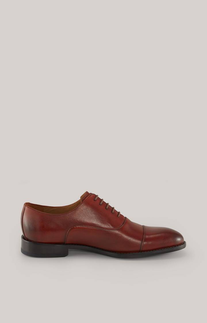 Joop Schnürschuh Lusso Santinos in Cognac Valentinstagsangebot