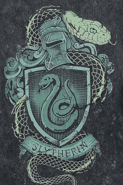 EMP "Slytherin Crest" Top dunkelgrün von Harry Potter Günstiger Verkauf