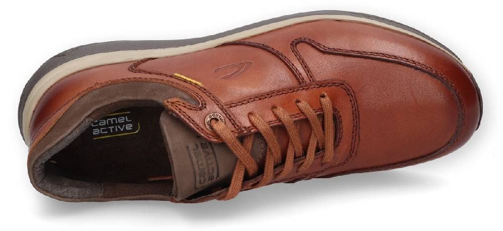EMP "Sneaker Low" Schnürschuh braun von Camel Active Kostenloser Versand
