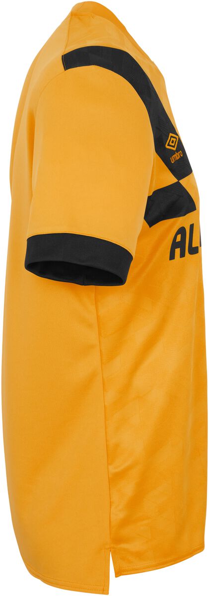 EMP "23/24 Home Jersey" Trikot multicolor von Dynamo Dresden Fabrik Onlineshop
