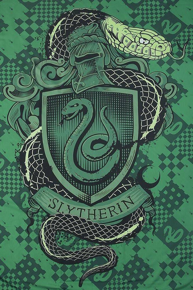 EMP "Slytherin" Bettwäsche multicolor von Harry Potter Wochenangebot