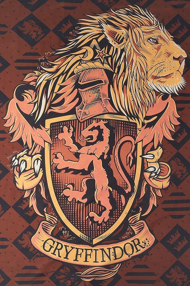 EMP "Gryffindor" Bettwäsche multicolor von Harry Potter Tiefpreis
