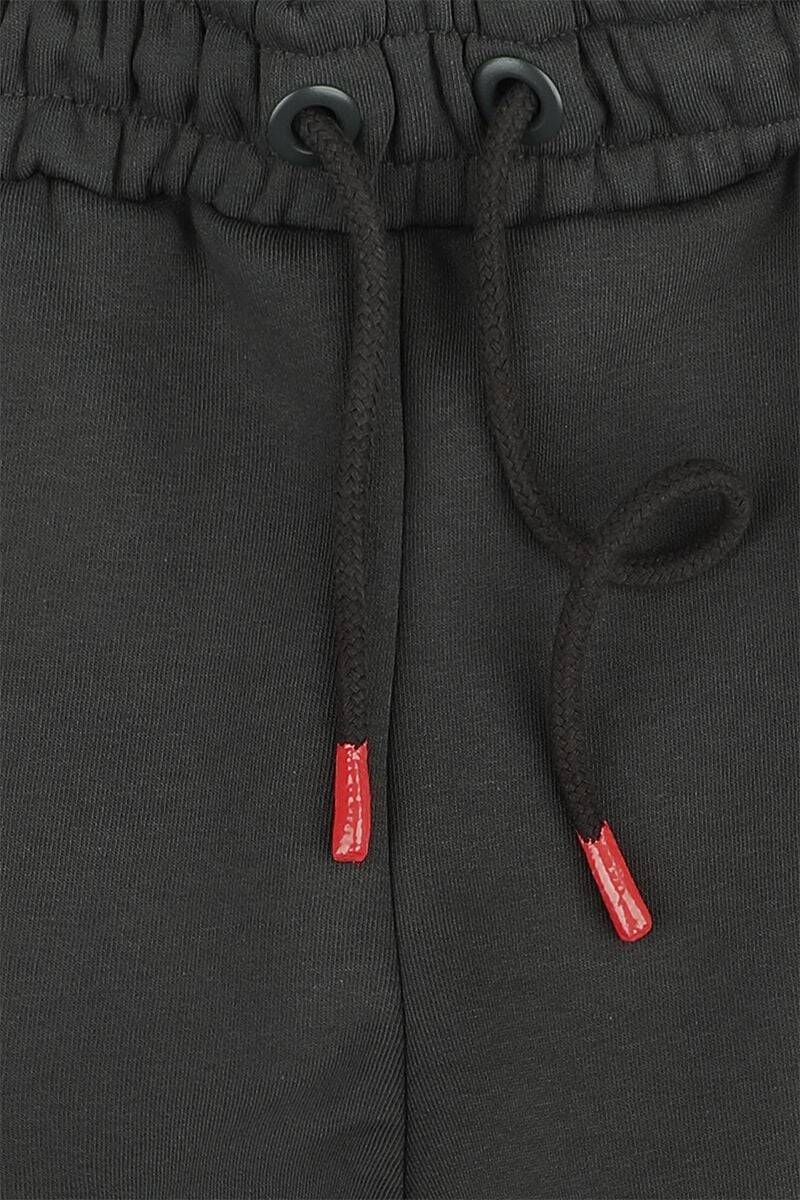 EMP "Alpha RP Short" Short grau von Alpha Industries Super Rabatt